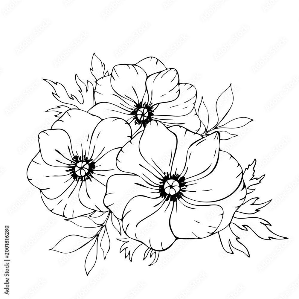 Fototapeta premium Vector black and white floral composition, bouquet of hand drawn anemone flowers, leaves.