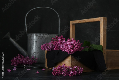 Wooden box of beautiful lil...