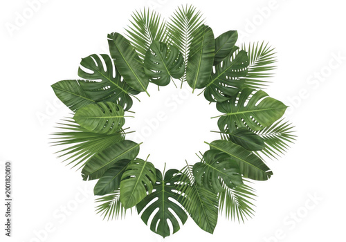 Lush green wreath made from fresh eucalyptus leaves arranged in a circular pattern