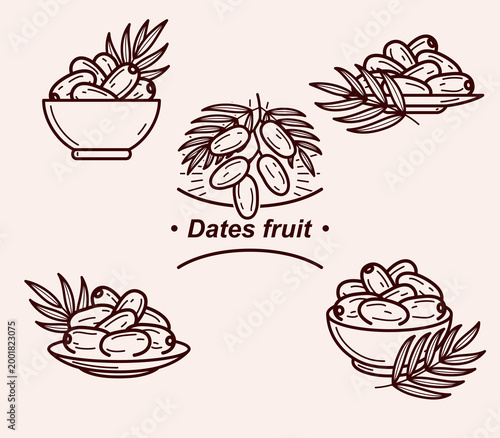 Dates fruit set. Collection icon dates fruit. Vector