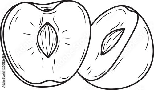 Halved peach with pit in a simple line drawing against a white background