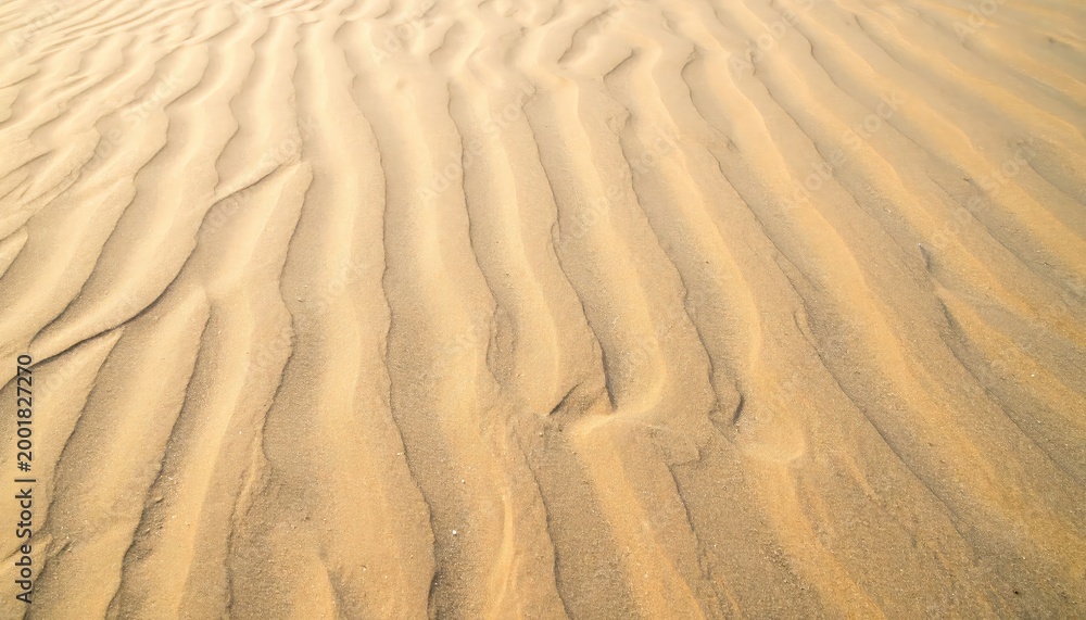 Fototapeta premium Abstract texture of natural rippled desert sand dunes