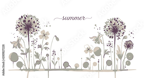 Summer floral vector illustration, dandelion flowers, botanical design elements, decorative border
