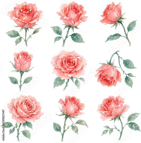 Rose Logo Element for Natural Skincare.eps