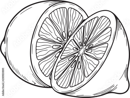 A detailed line drawing of a whole lemon cut in half revealing its juicy segments and pith