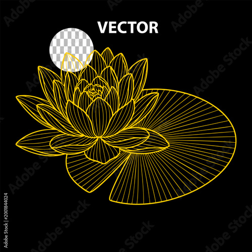 Vector illustration of a white water lily a tee against a black background decorated with an elegant floral lotus pattern and summer leaf design elements