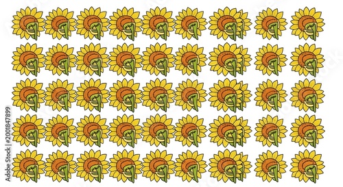 Illustrated sunflower pattern on white background for design and decoration