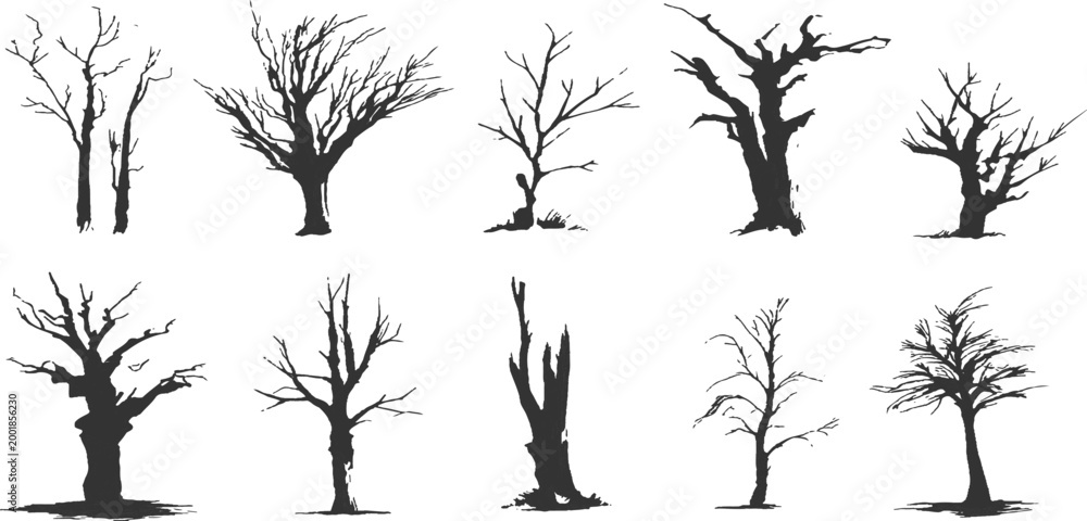 Fototapeta premium Collection of spooky dead leafless tree silhouettes bare branches winter forest nature landscape vector illustration.