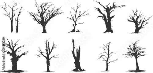 Collection of spooky dead leafless tree silhouettes bare branches winter forest nature landscape vector illustration.