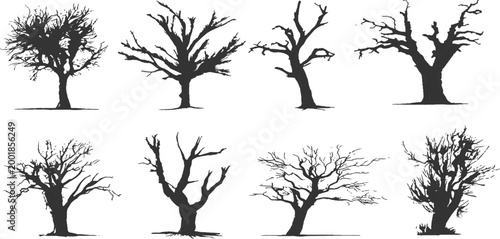 Collection of spooky dead leafless tree silhouettes bare branches winter forest nature landscape vector illustration.