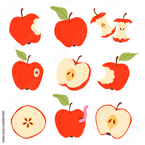 Red apple set including whole, bitten, halved, and sliced fruits. Fresh healthy food collection. Perfect for autumn harvest, back to school designs, and nutrition themes. Vector flat illustration