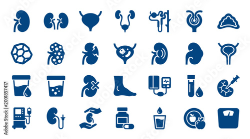 Collection of medical icons representing the human urinary system kidneys bladder and related health diagnostics and treatments