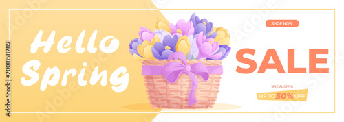 Horizontal floral promo banner. A bouquet of delicate crocuses in a basket decorated with a ribbon with a bow. Spring discounts, sale. Vector illustration for posters, banners, advertisements, flyers