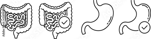 Digestive Health and Gastrointestinal System Icon Set Featuring Intricate Human Intestines and Stomach Organ Line Art Outlines