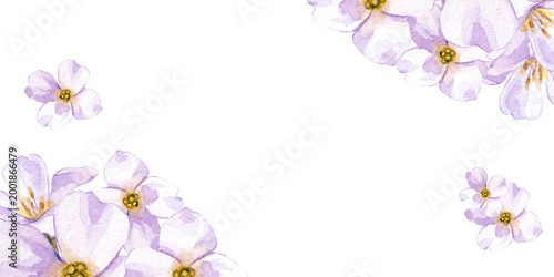 A minimalist watercolor frame featuring clusters of white spring flowers in opposite corners isolated on a white background. Horizontal border perfect for wedding invitations, social media templates