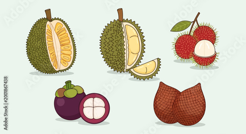 Hand drawn exotic tropical fruits vector illustration