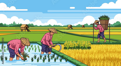Farmers working in a rice paddy field planting and harvesting crops.