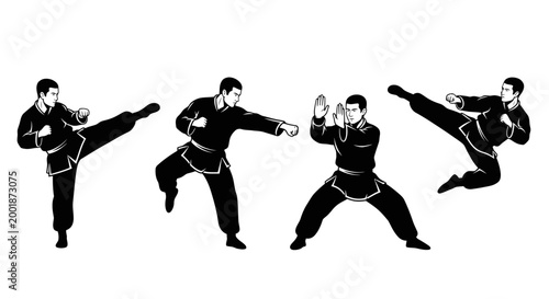 Various Martial Artist Poses, A Collection of Powerful Kung Fu and Self-Defense Techniques for Training and Practice Demonstrating Strength, Agility, and Discipline