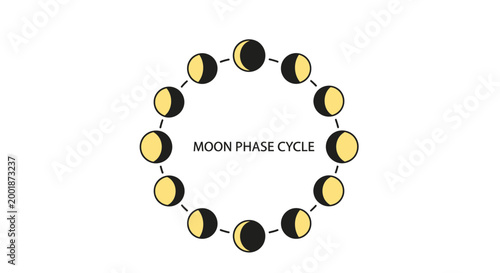Moon Phase Cycle Diagram Showing Lunar Orbit Stages