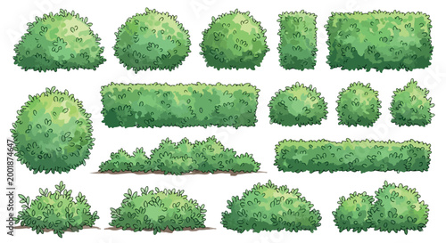 Green garden bushes and hedge collection, 14 vector shrub elements for landscape design, organic foliage and topiary plants for architectural visualization