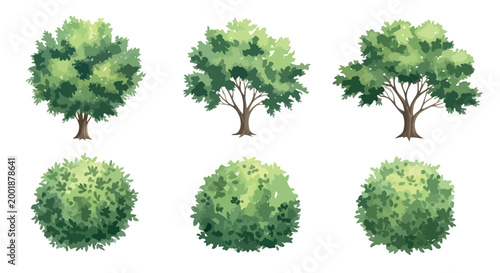 Watercolor style green trees and bushes set, collection of 6 nature plant vector elements, lush garden foliage for landscape design and architecture