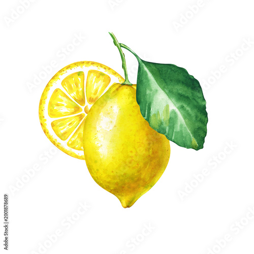 Watercolor illustration of a whole bright yellow lemon with green leaves, a juicy round slice and a small twig. Botanical clipart on an isolated background. The realistic composition is suitable for