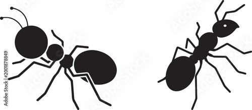 Ants black color simple flat vector icon set isolated on transparent background. modern insect elements art.