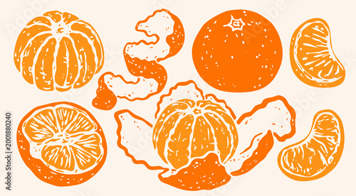 Delicious Tangerine set. Ripe orange mandarin satsuma fruit. Whole, sliced, peeled, piece, skin. Hand drawn trendy Vector illustration. Isolated design elements. Tasty, healthy food concept