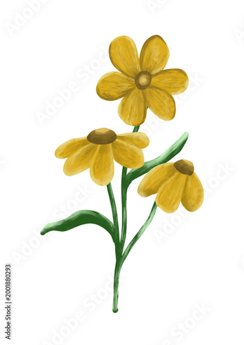 illustration of  yellow flower with three stem
