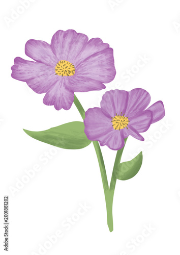 Two Purple Flower with leaves