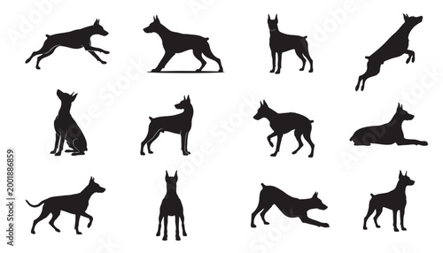 Doberman Pinscher Silhouette Set, Athletic Guard Dog Poses, Running, Jumping, Standing, and Sitting Canine Vector Graphics for Kennel Branding