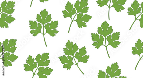 Illustration of Fresh Parsley Leaves in a Pattern on a Solid White Background"