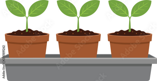 Illustration of Three Plants Growing in Terracotta Pots on a Tray with Solid White Background"