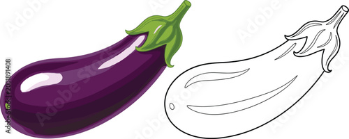 Illustration of Purple Eggplant with Outline and Full Color Versions on a Solid White Background"