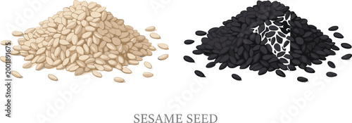 Vector illustration of white and black sesame seeds, showcasing their natural texture in a clean, minimalist design.