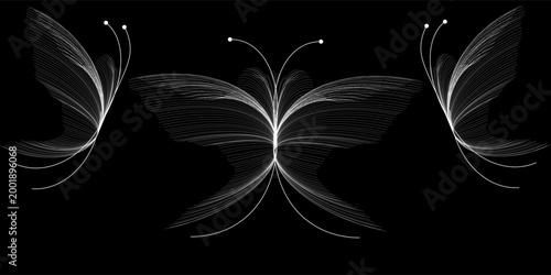 Sophisticated abstract butterfly illustration featuring intricate white line art on a solid black background. 