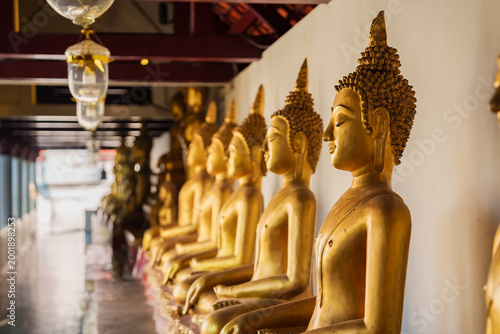 Photography Beautiful rows of golden Buddha statues inside Wat Pho in Bangkok, Thailand