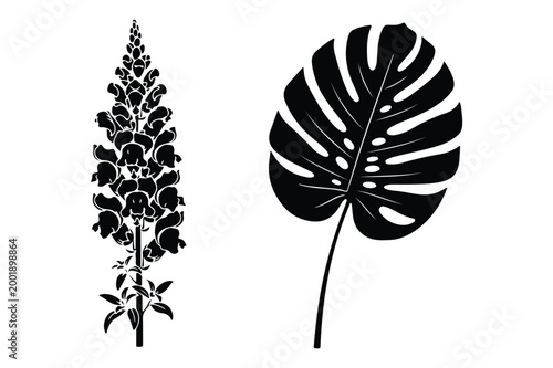 Black silhouette vector illustration of a tall spiky flower stalk and a monstera
