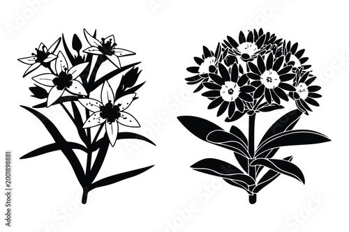Black silhouette vector illustration of two distinct clusters of star-shaped