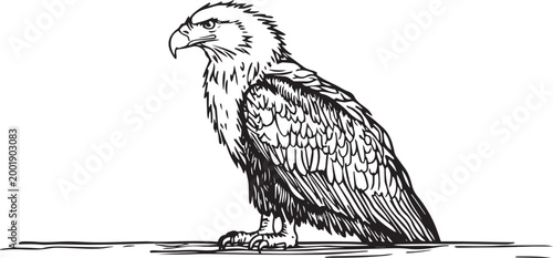 Majestic Bald Eagle Standing Vector Illustration