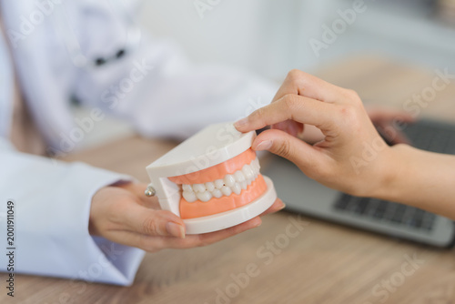  The dentist is talking to the patient and showing them a model of the teeth. (Concept of dental care)