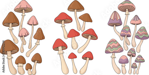 Mushroom collection with different species and shapes, hand drawn forest fungi set, colorful cartoon vector illustration isolated on white background