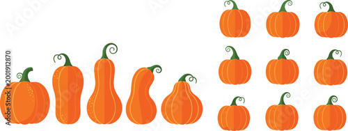 Collection of Pumpkin and Gourd Vector Illustrations in Different Shapes and Sizes for Autumn Harvest, Thanksgiving Decoration, and Seasonal Design Projects