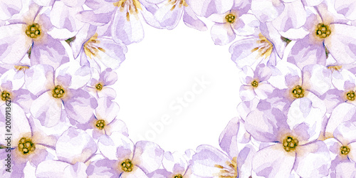 A watercolor frame with delicate white flowers with an empty place to insert in the middle. A botanical template for wedding invitations, Easter greeting cards, creating a feminine brand and