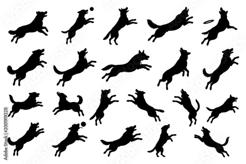 Silhouettes of dogs playing and jumping for frisbee and ball.