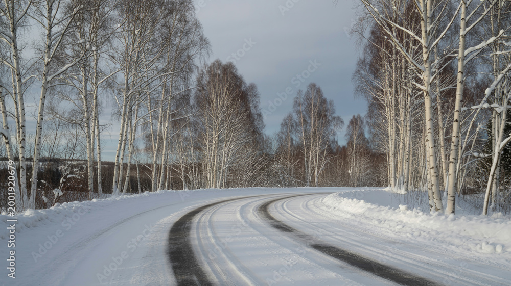Obraz premium winter road in the forest