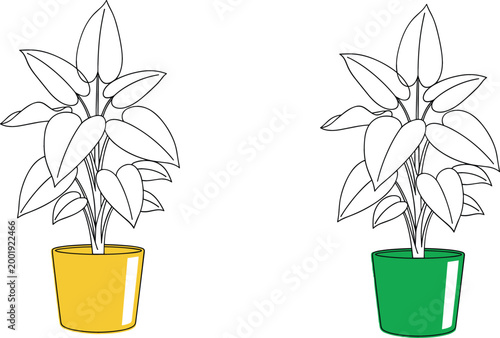 Indoor houseplant in colorful pots with outline leaves minimal line art botanical illustration decorative home plant vector collection isolated