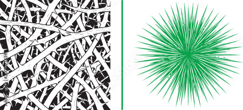 Tangled black thorny brambles and a green radial starburst vector graphic isolated on white background