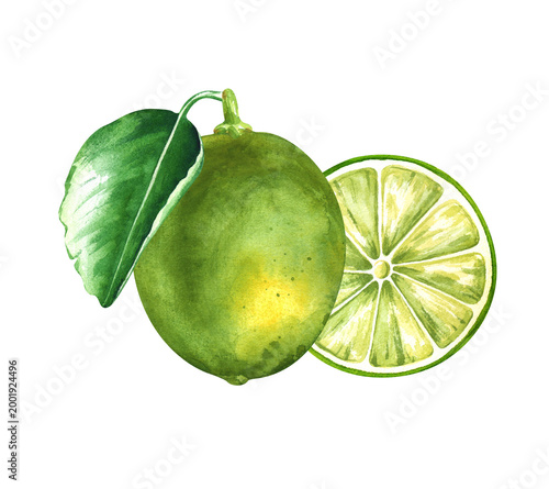A vibrant watercolor illustration of a whole green lime with a fresh leaf and a juicy cross-section slice. Detailed texture and bright zesty colors, isolated on a white background. Perfect for mojito