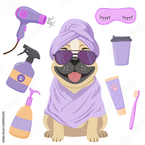 Cute French Bulldog spa day and grooming kit with lavender accessories, funny pampered pet character on a transparent background